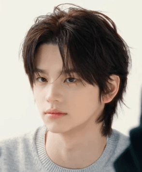 Curtain Haircut — Korean men's hairstyle